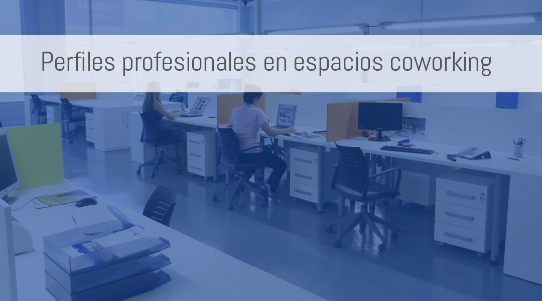 Aquí detallamos los perfiles profesionales existentes en los espacios coworking